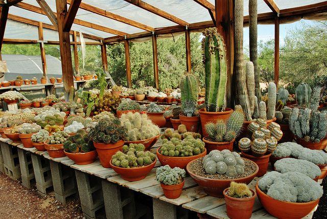 Kalimpong viewpoint or nursery