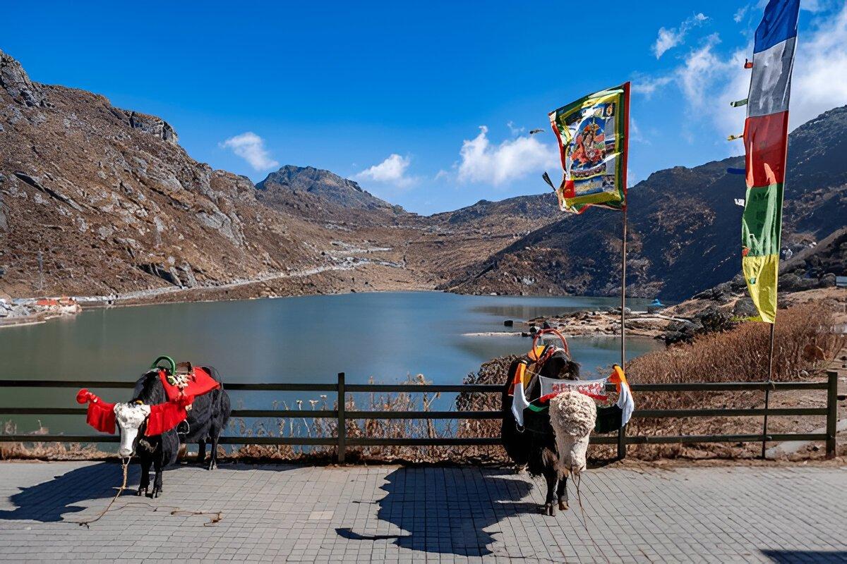 Tsomgo Lake with prayer flags