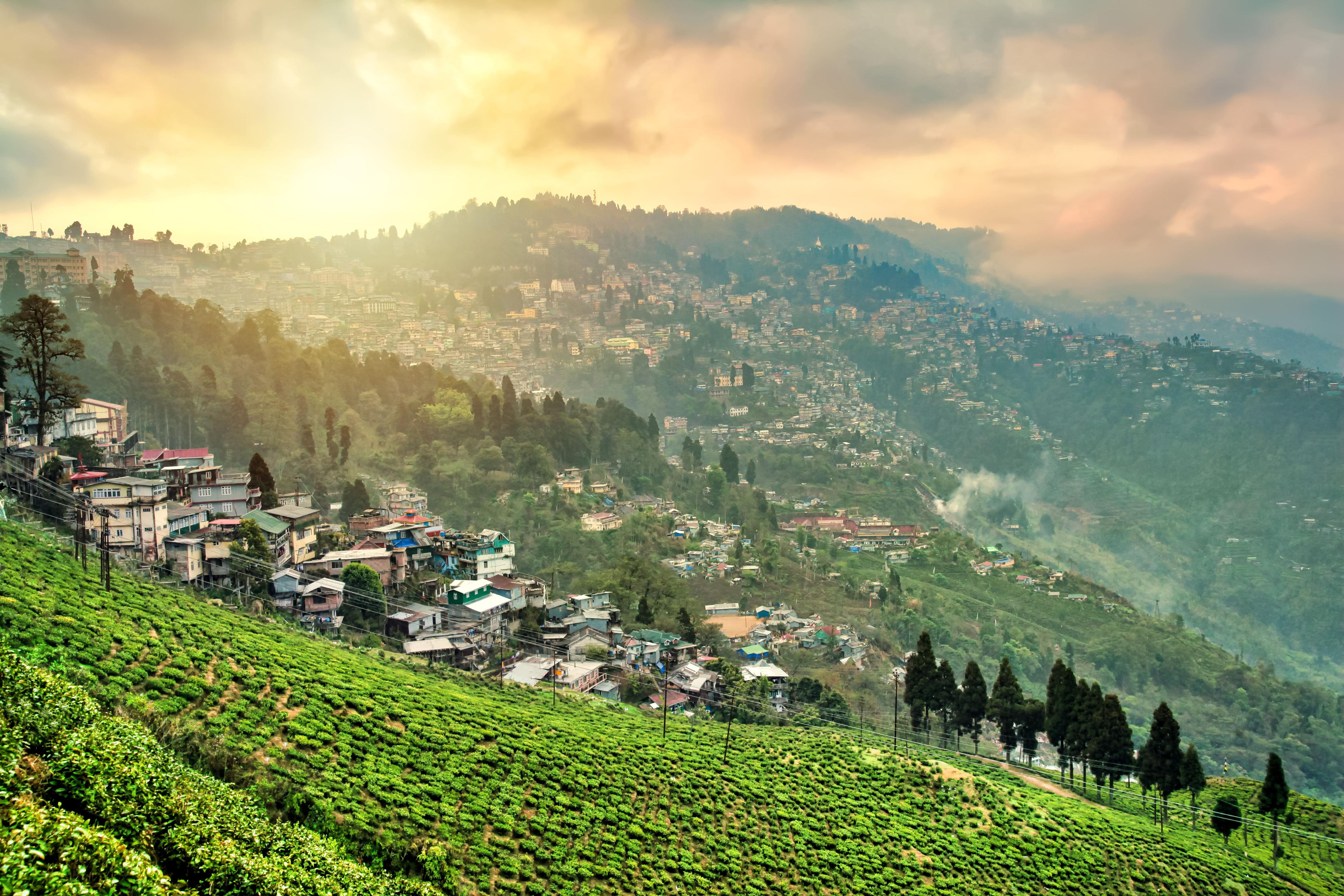 Sittong / Takdah village and tea gardens
